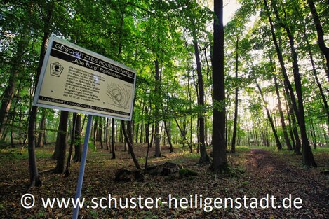 © www.heiligenstadt.net