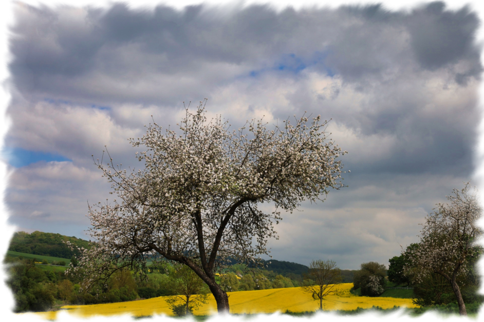 © www.heiligenstadt.net