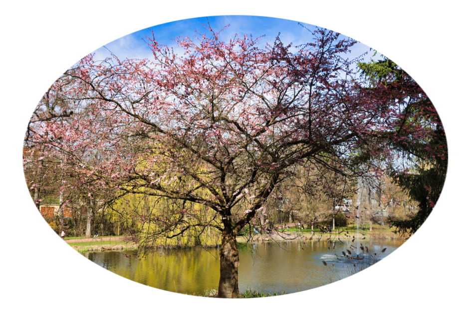 © www.heiligenstadt.net