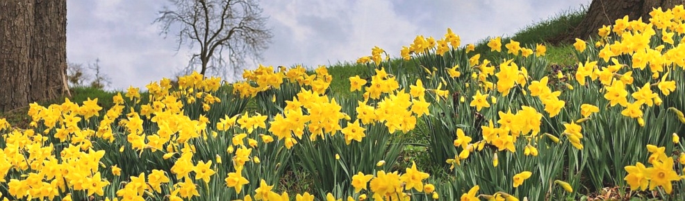 © www.schuster-heiligenstadt.de