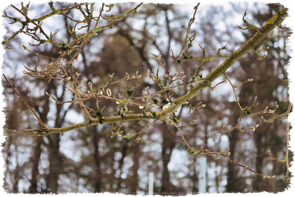 © www.heiligenstadt.net