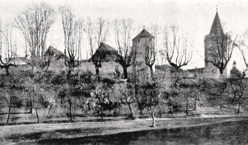 © www.schuster-heiligenstadt.de