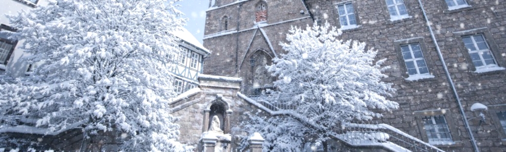 © www.schuster-heiligenstadt.de