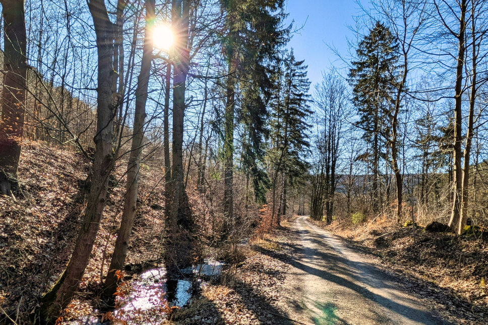 Dachstal Heiligenstadt TS © www.heiligenstadt.net