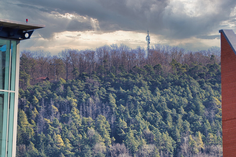 © www.heiligenstadt.net