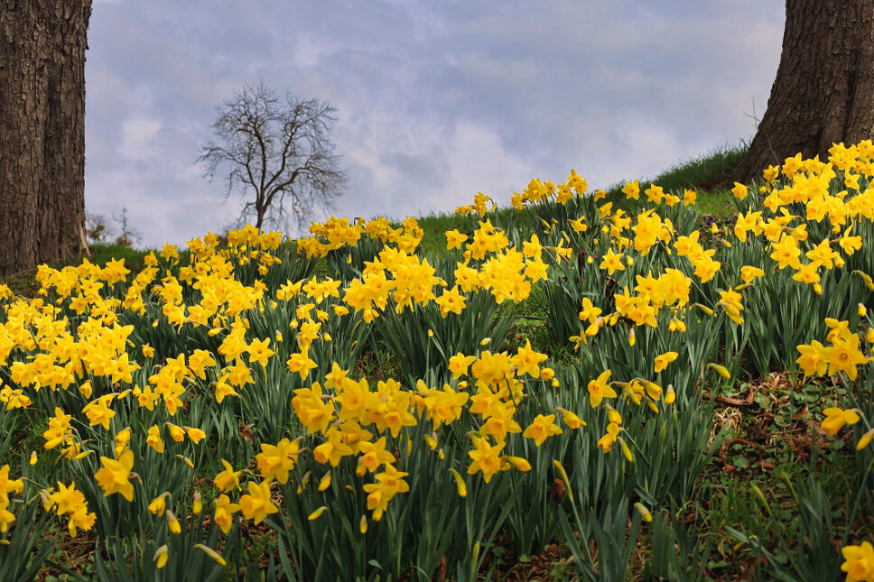 © www.heiligenstadt.net