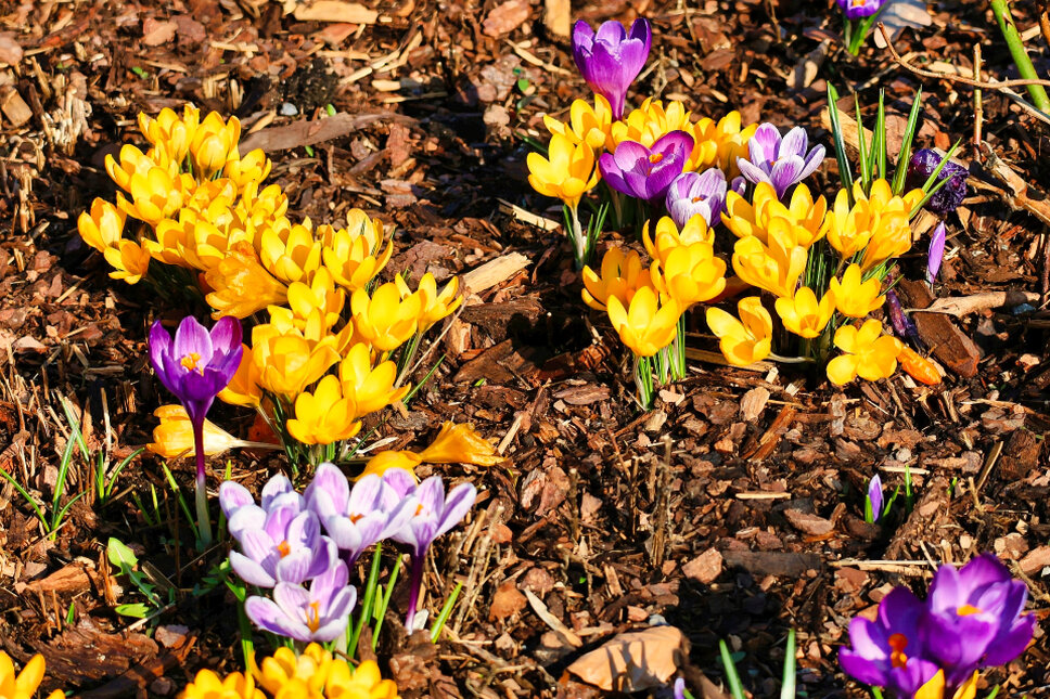 © www.heiligenstadt.net