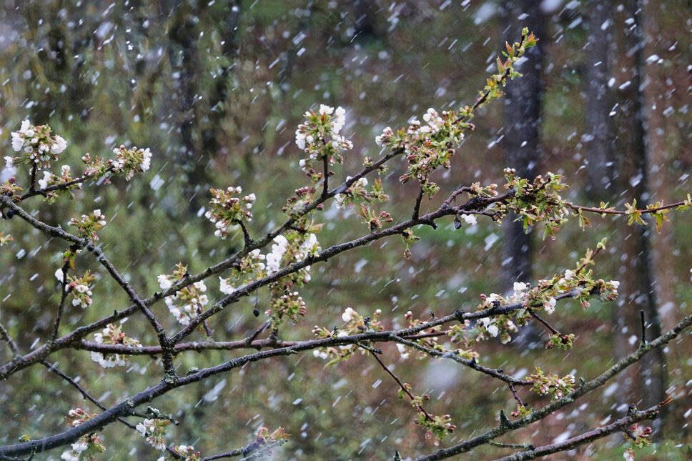 Kurpark Heiligenstadt TS © www.heiligenstadt.net