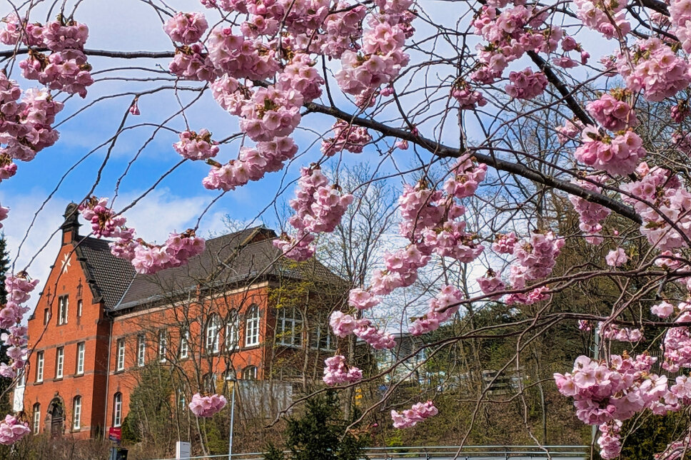 © www.heiligenstadt.net