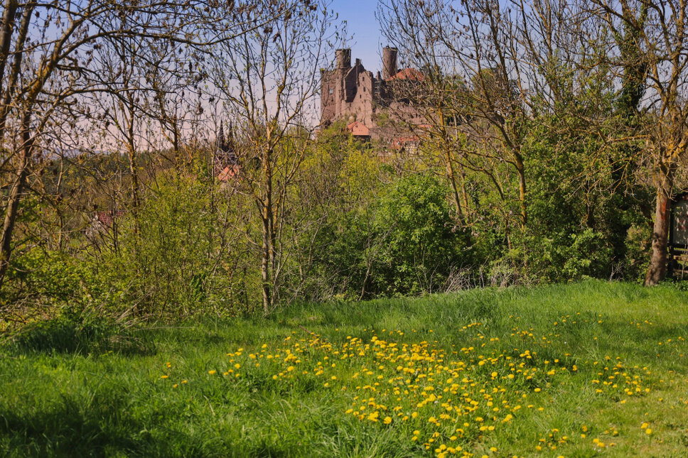 © www.heiligenstadt.net