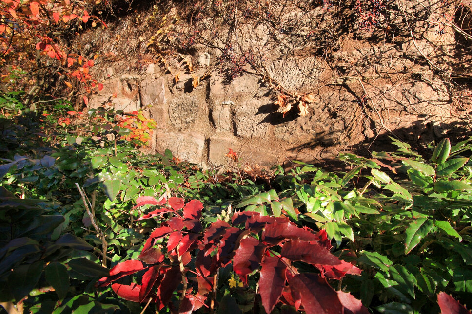 © www.heiligenstadt.net