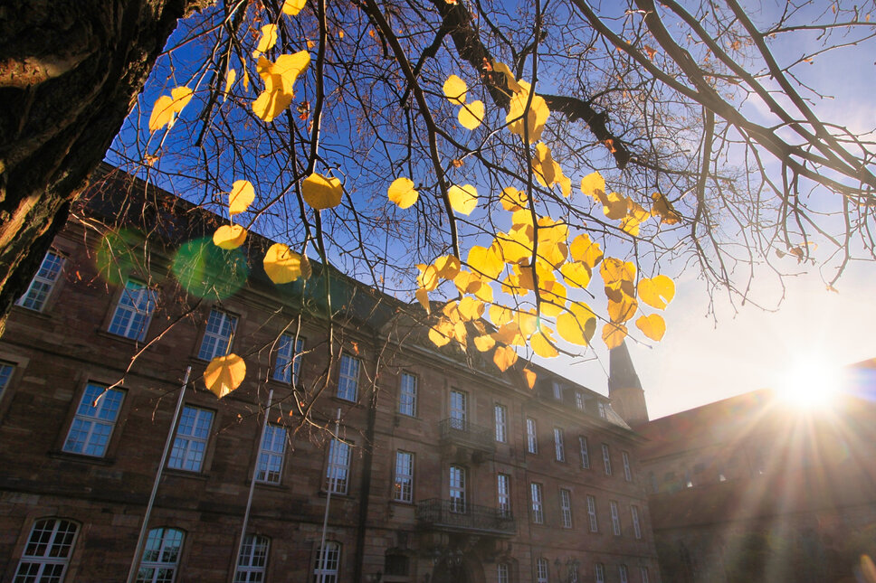 © www.heiligenstadt.net