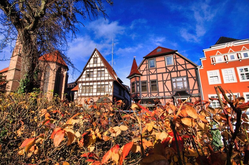 © www.heiligenstadt.net