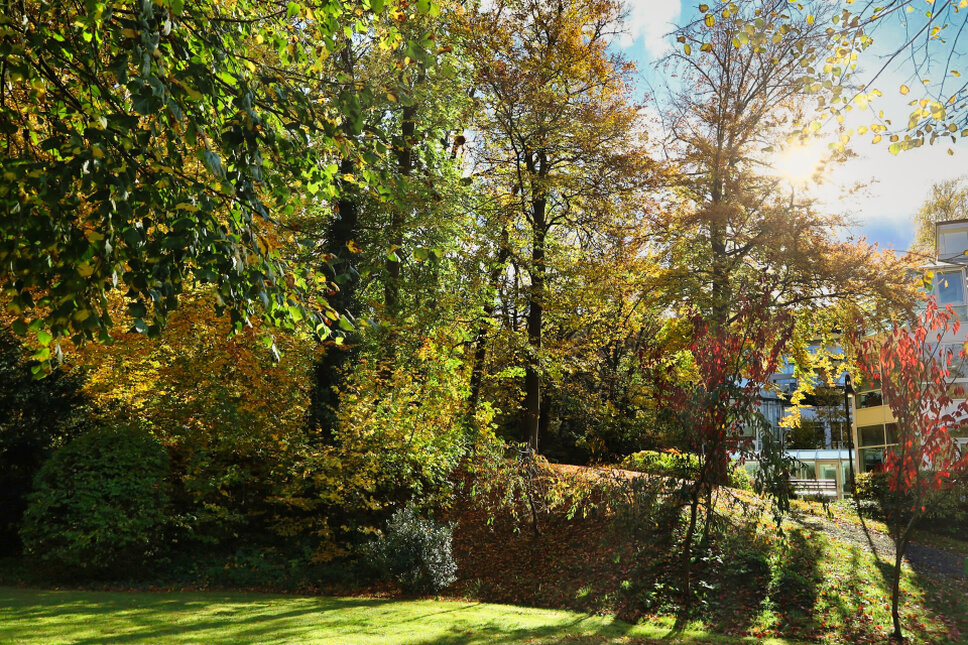 © www.heiligenstadt.net