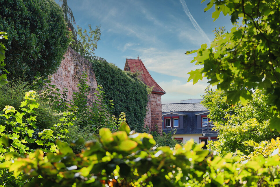 Stadtmauer Heiligenstadt 2026 TS © www.heiligenstadt.net