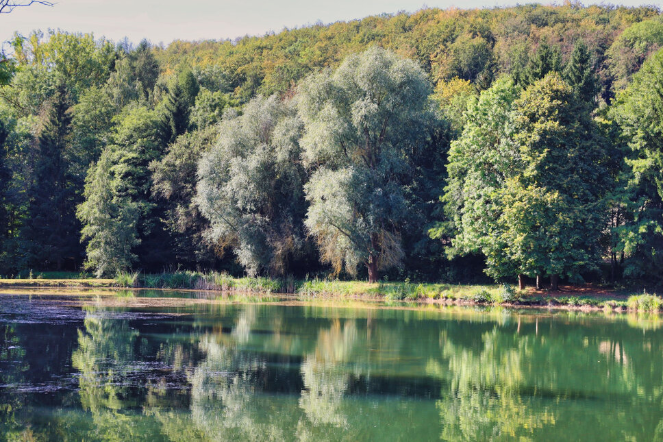 Reifenstein Teich TS © www.heiligenstadt.net