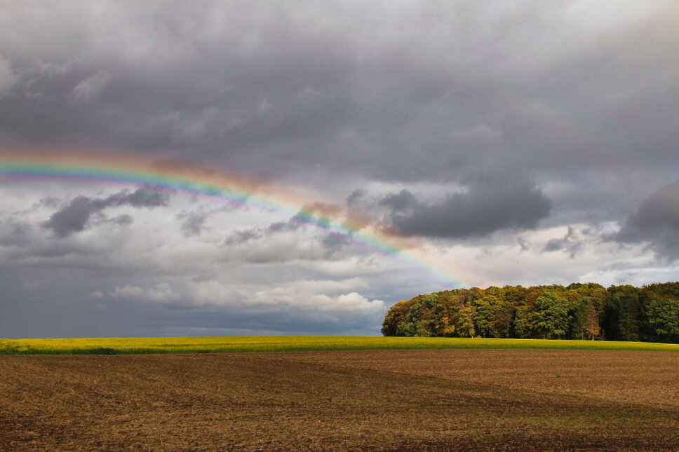 © www.heiligenstadt.net