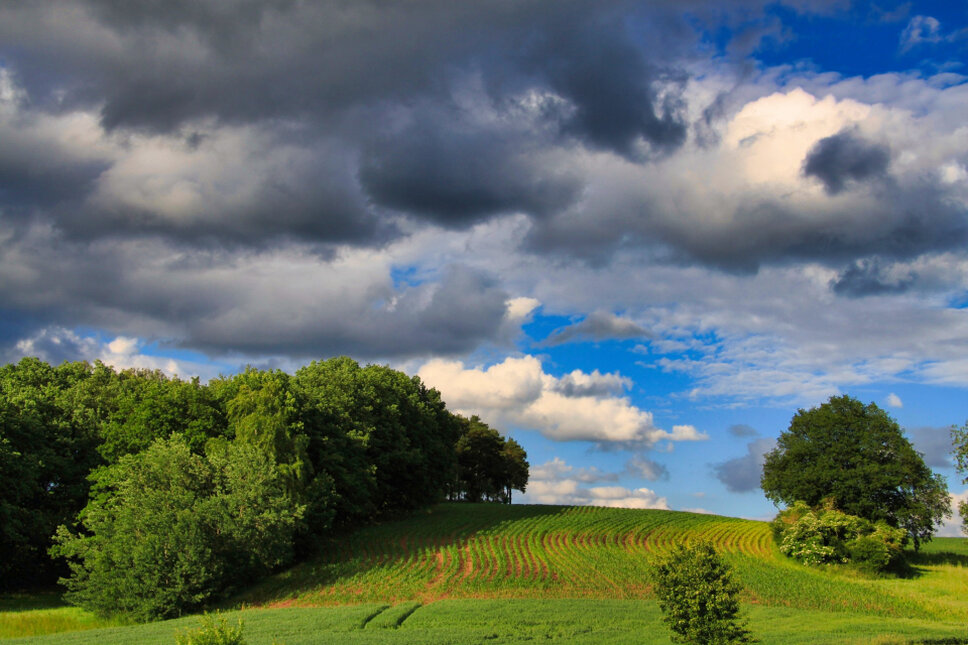 © www.heiligenstadt.net