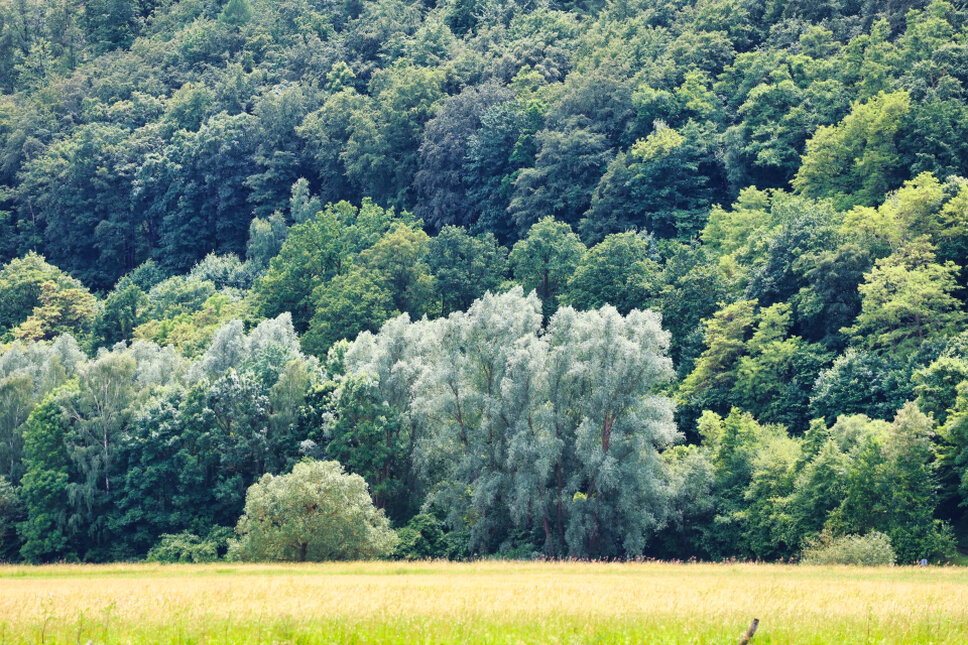Landschaft bei Lindewerra TS © www.heiligenstadt.net