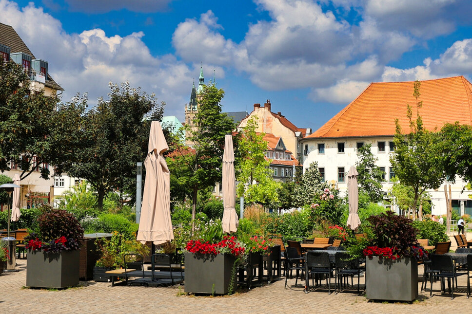 Erfurt Hirschgarten 2026 TS © www.heiligenstadt.net