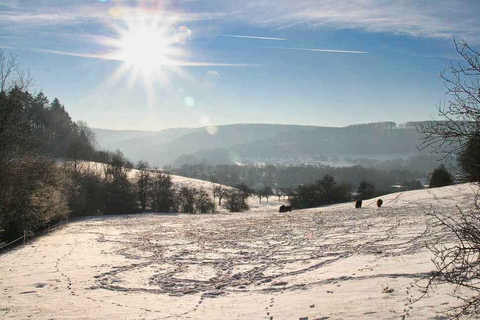 © www.heiligenstadt.net