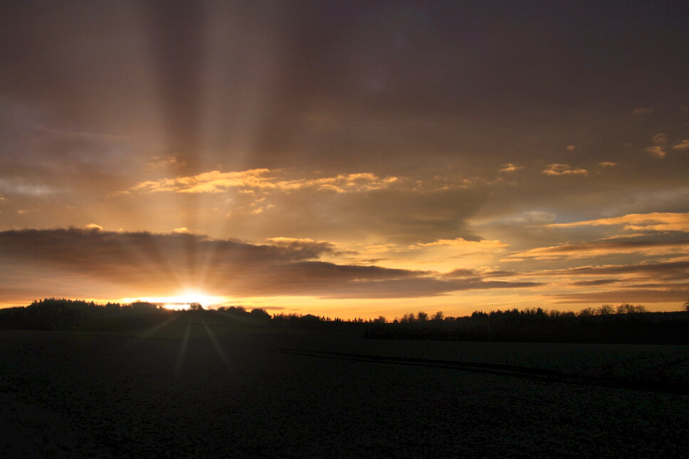 © www.heiligenstadt.net