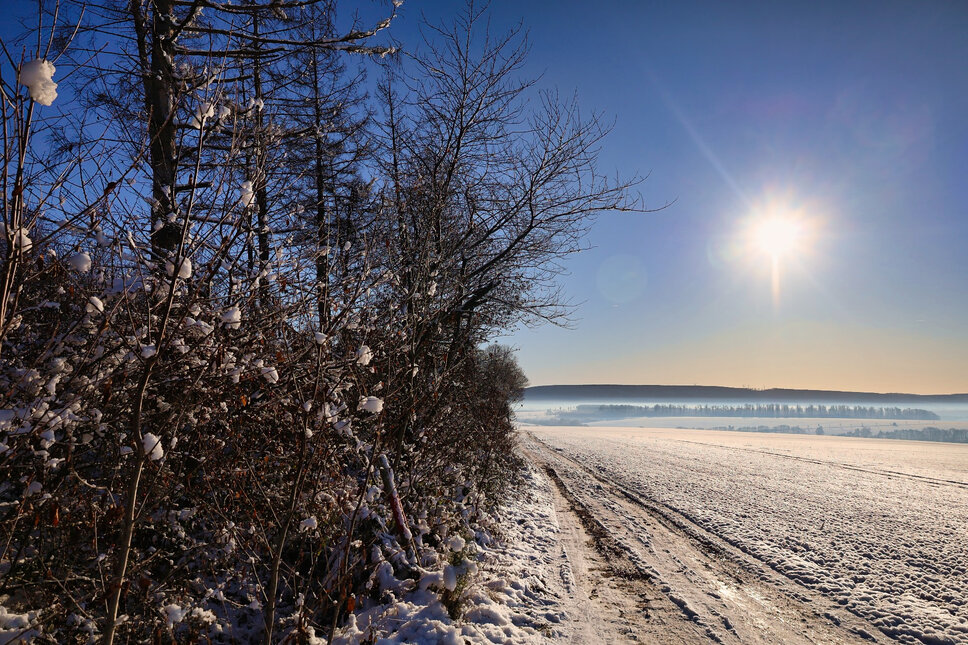 © www.heiligenstadt.net