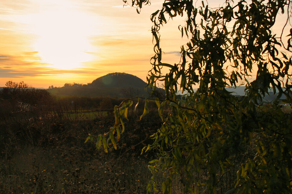 © www.heiligenstadt.net