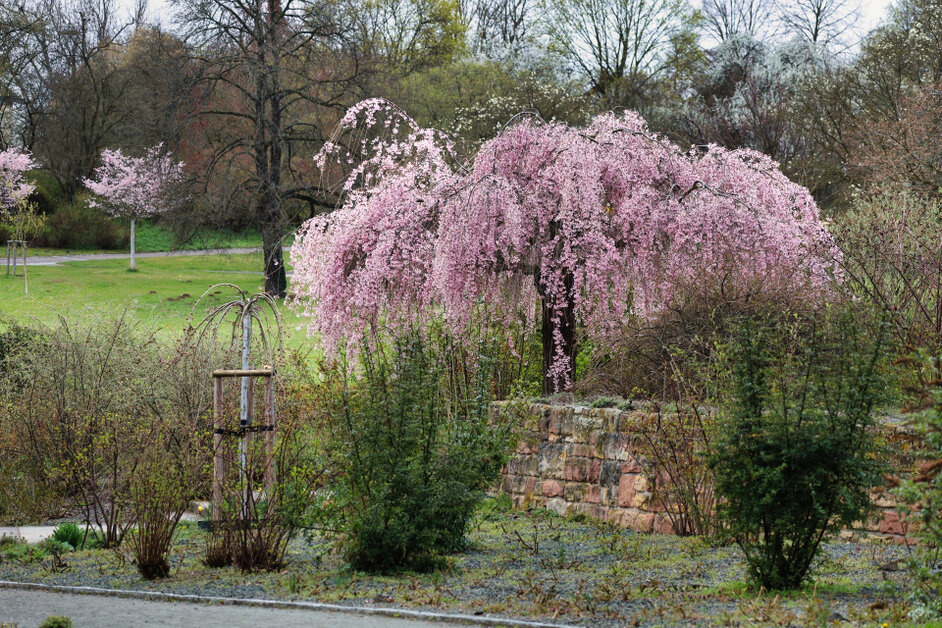 © www.heiligenstadt.net