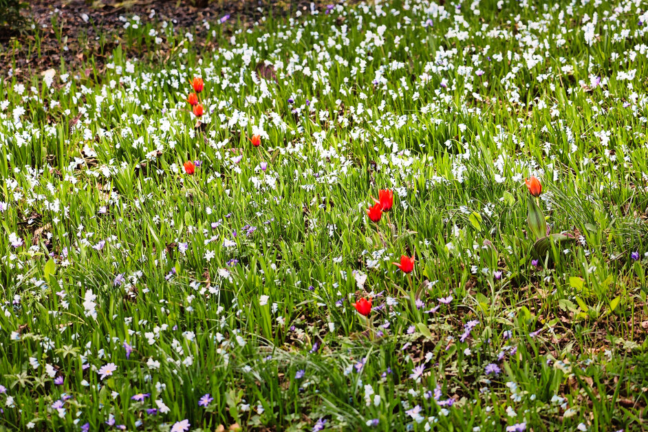 © www.heiligenstadt.net